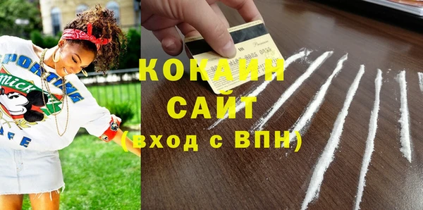 шишки Лиски