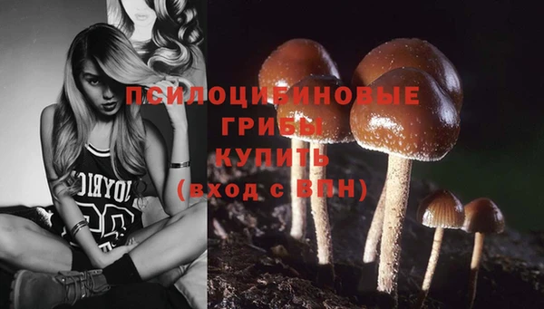 шишки Лиски