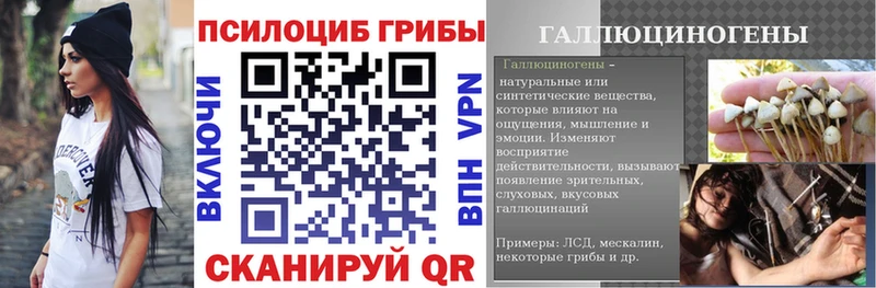 Купить закладки  Заречный  Галлюциногенные грибы ЛСД 
